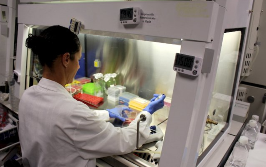 Ciencia en clave femenina desde Cantabria: “En el IBBTEC, las jóvenes investigadoras son mayoría, pero pocas llegan arriba”