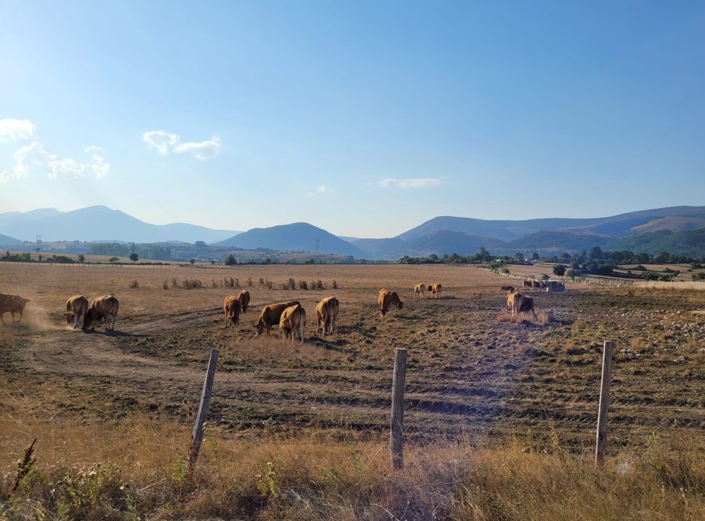 Estado de los pastos en el valle de Iguña | Fuente: PRC