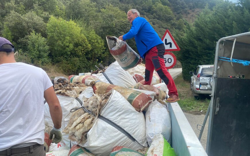 Cantabria recoge cerca de 18 toneladas de lana ovina sin salida comercial en un proyecto pionero en España