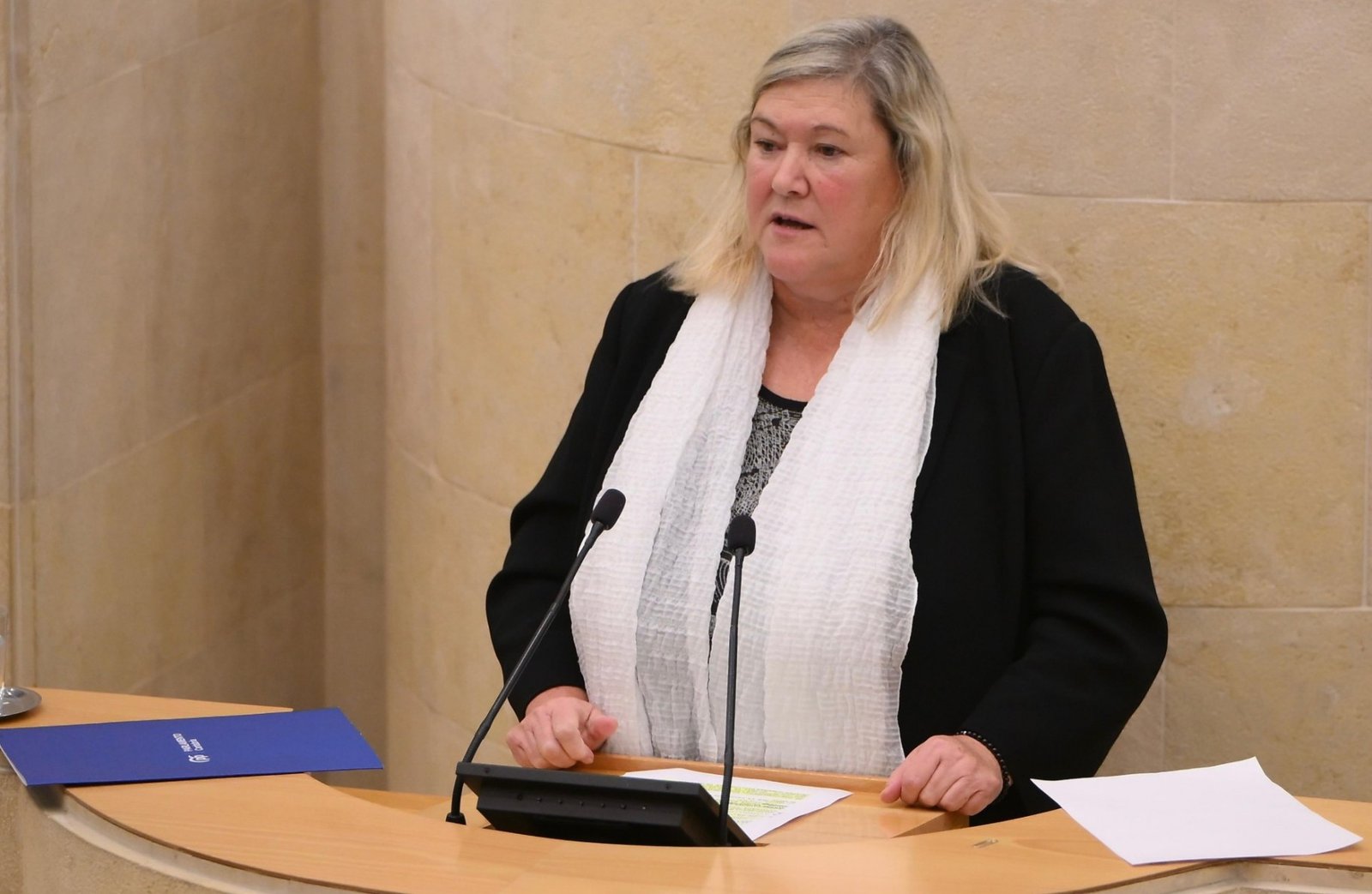 Belén Ceballos en el Parlamento de Cantabria | Fuente: PP Cantabria