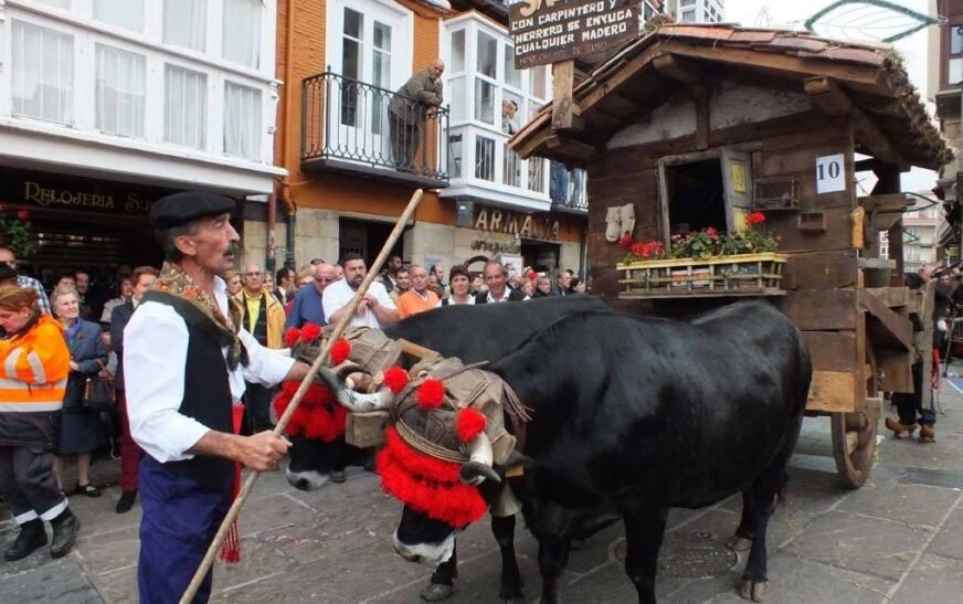 El PP acusa al PRC de “jugar con la salud” de la cabaña ganadera por el Día de Campoo