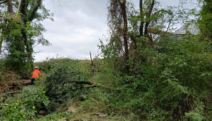 La Confederación Hidrográfica mejora la capacidad de desagüe del río Carranza en Ramales