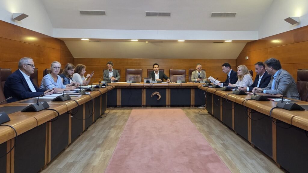 Comisión de Inclusión Social, Juventud, Familia e Igualdad del Parlamento de Cantabria durante su reunión.