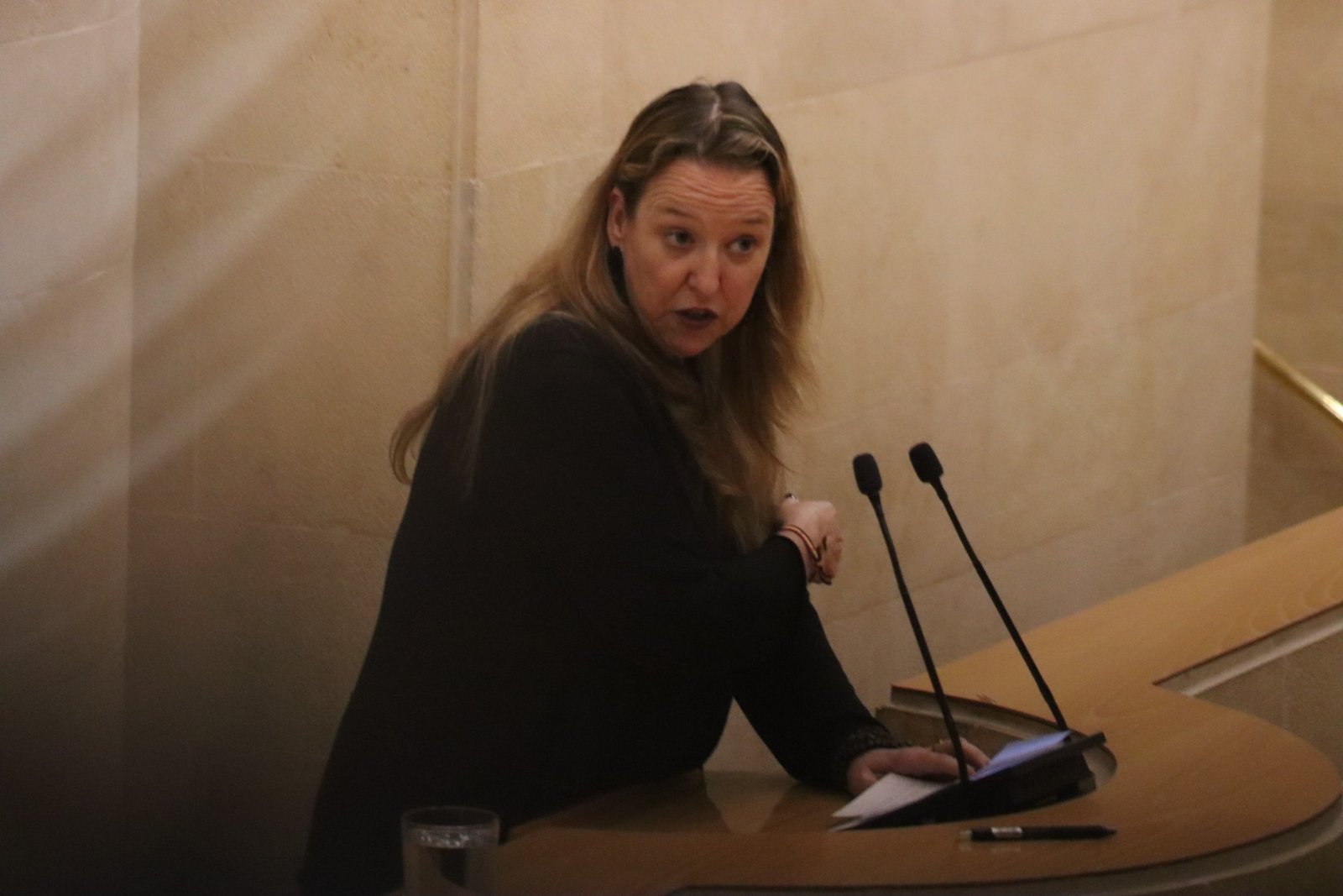 Leticia Díaz en la tribuna del Parlamento de Cantabria