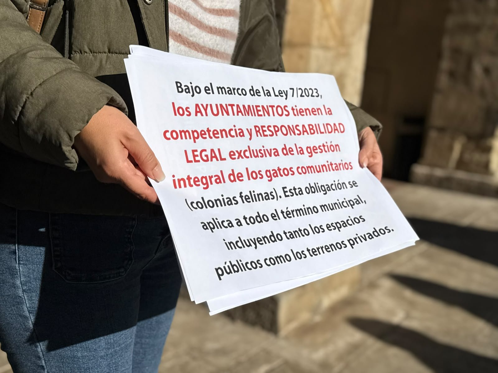 El PSOE de Camargo acusa a Movellán de incumplir la Ley de Bienestar Animal por la gestión de las colonias felinas