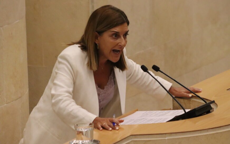 Buruaga cifra en 16,3 millones el impacto de las huelgas médicas en Cantabria