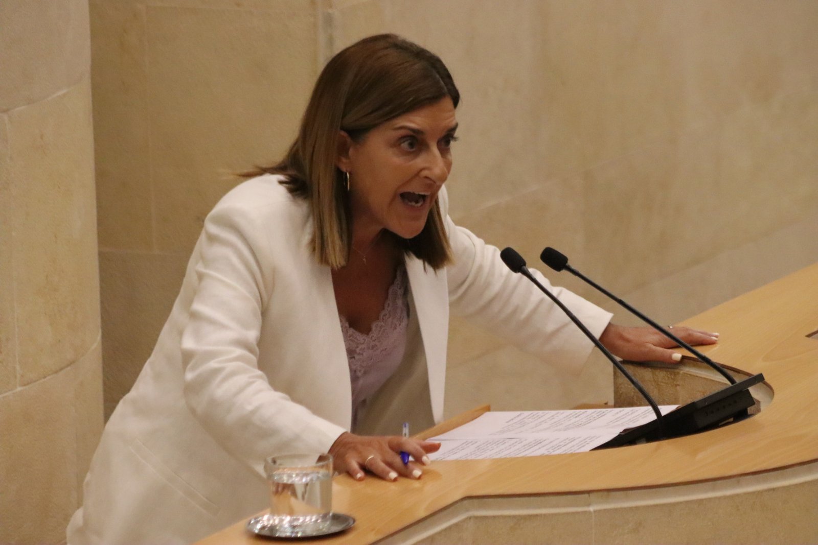 María José Sáenz de Buruaga en la tribuna del Parlamento de Cantabria