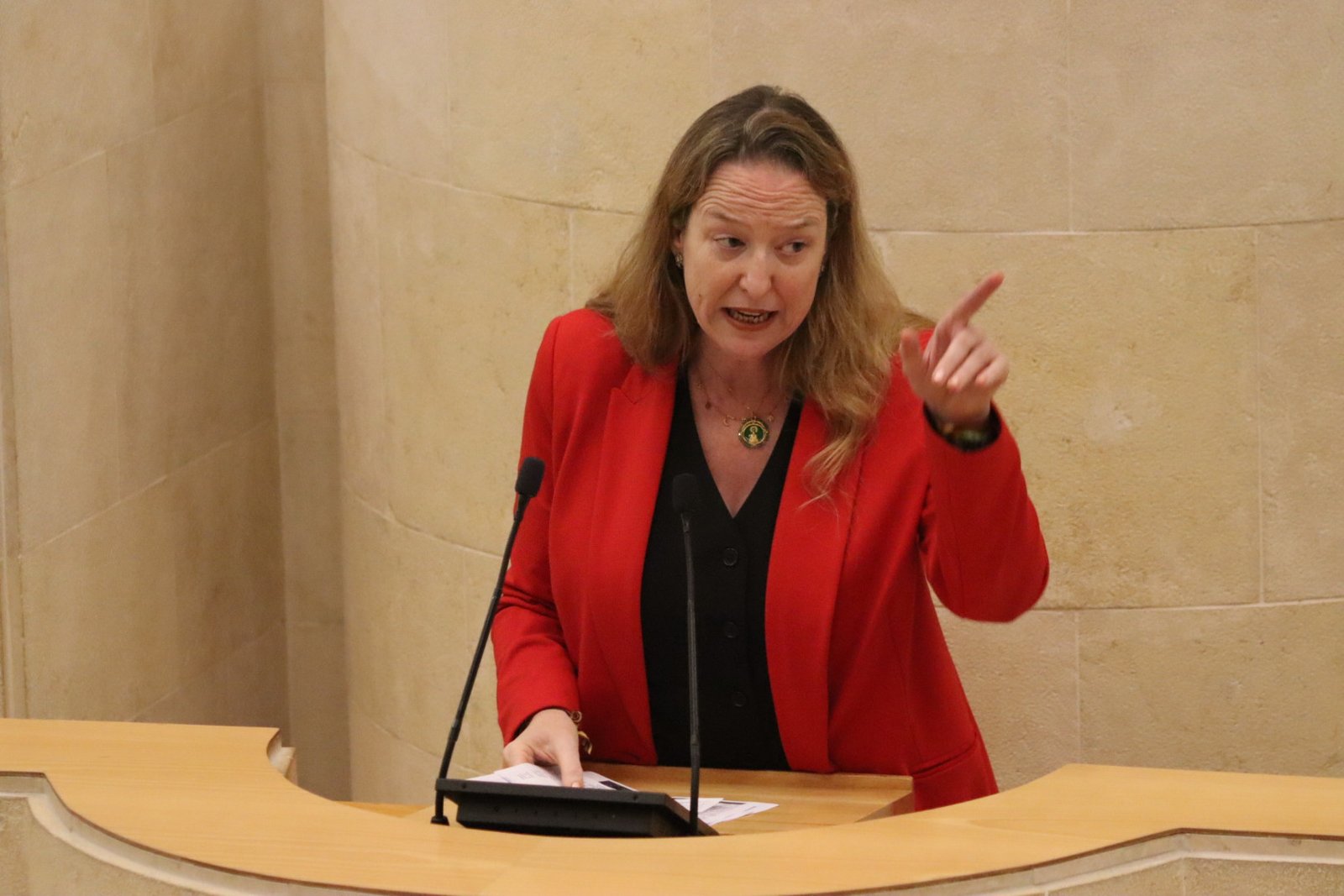 Leticia Díaz, portavoz de Vox, defiende desde la tribuna del Parlamento de Cantabria su moción para reforzar la seguridad en Ceuta y Melilla.
