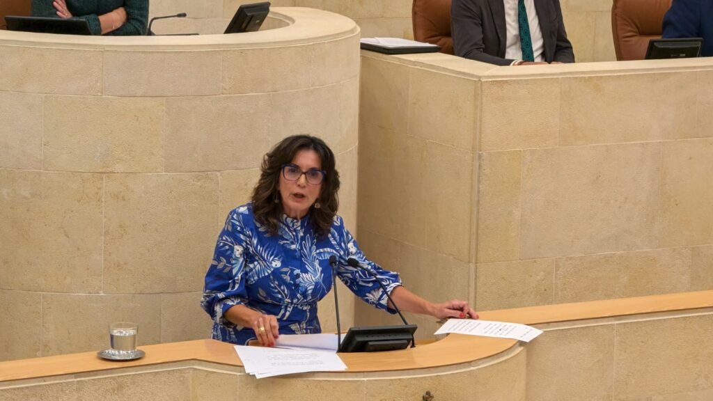 Ana Belén Álvarez, portavoz del PSOE, interviene desde la tribuna del Parlamento de Cantabria durante el debate sobre el crecimiento económico regional