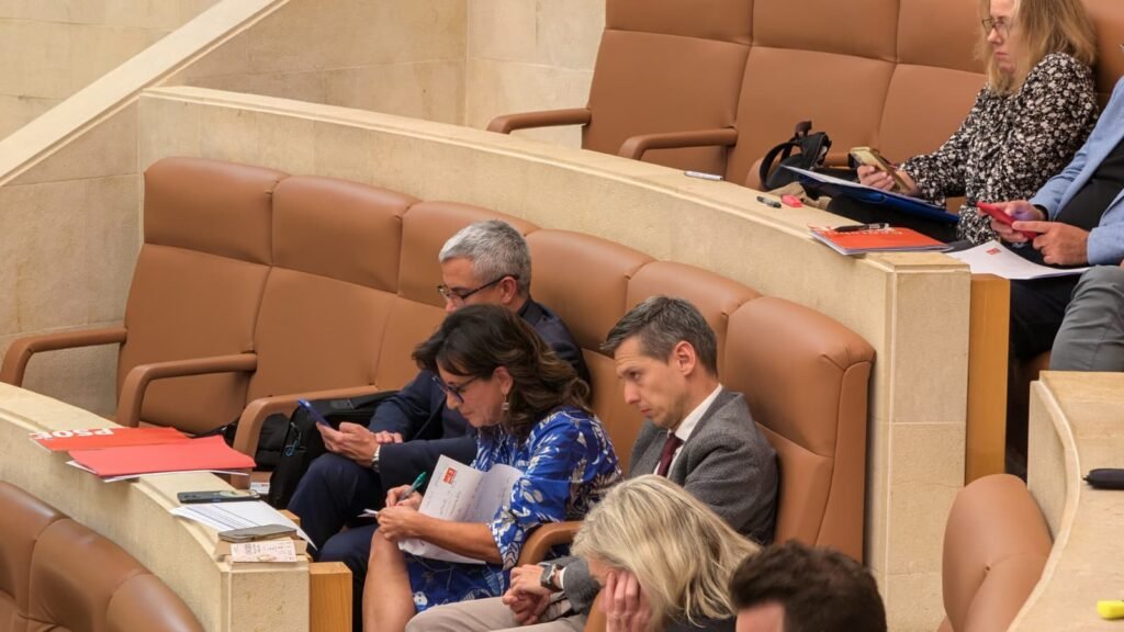 Ana Belén Álvarez, portavoz del PSOE en el Parlamento de Cantabria, sentada en su escaño durante el pleno autonómico